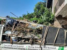 Best Shed Removal  in Waycross, GA